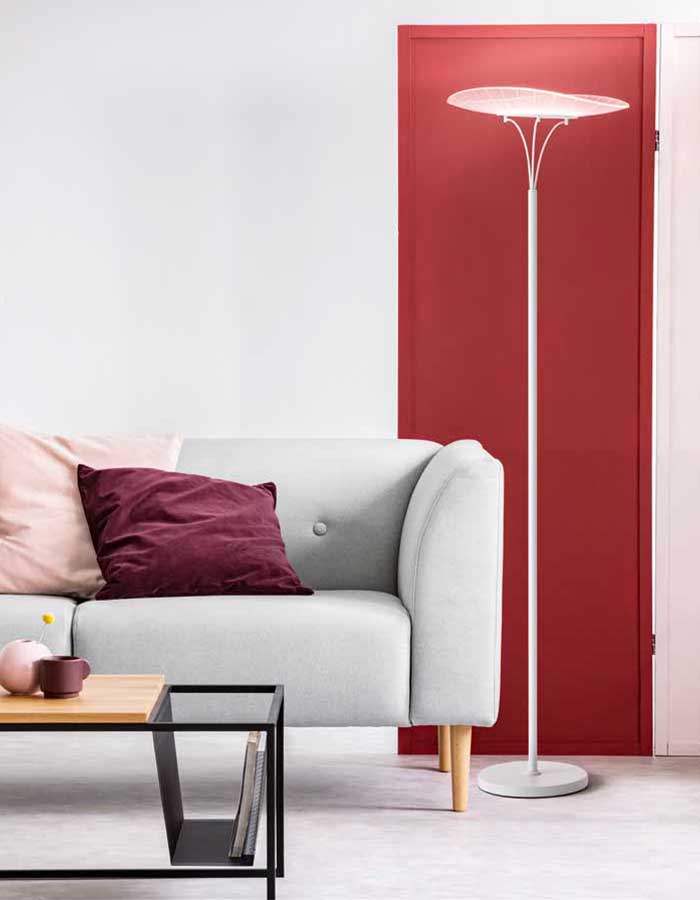 Fabas Luce Vela piantana