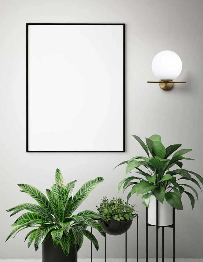 miloox jugen applique