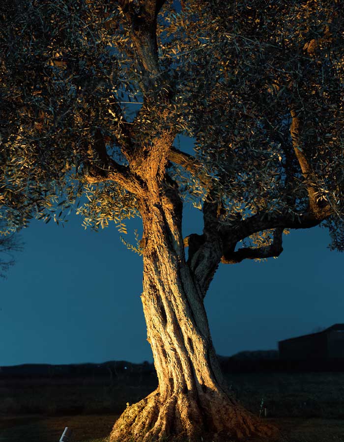 Gea GES113 Proiettore